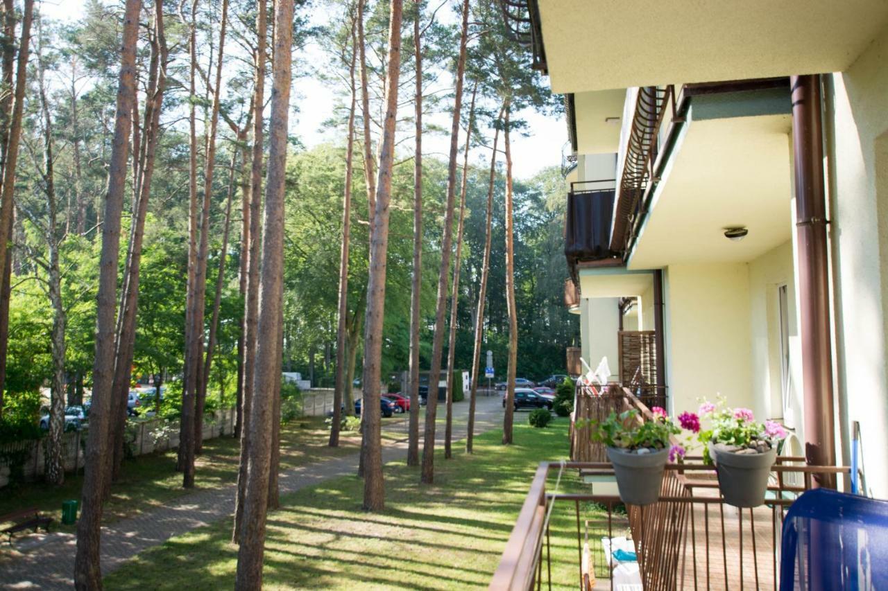 Apartament Makadi Apartment เมียนซิดดรอแย ภายนอก รูปภาพ